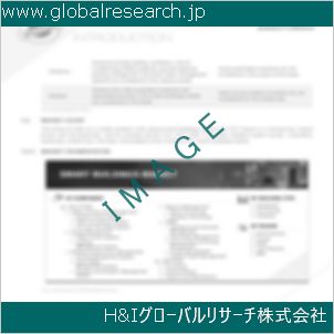 グローバルリサーチ調査資料のイメージ